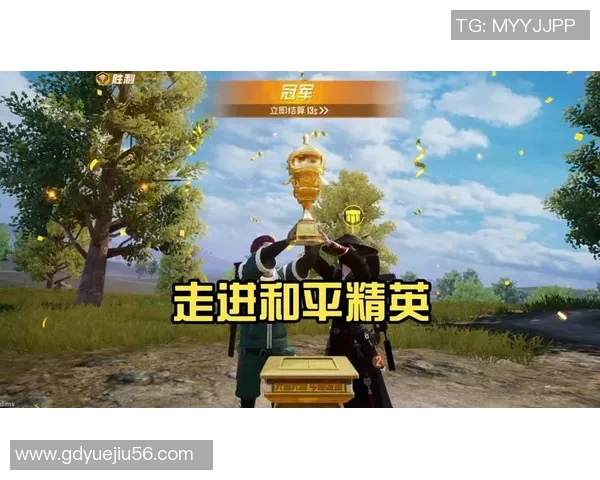 专访刘娜揭秘和平精英成功背后的策略与创新之路